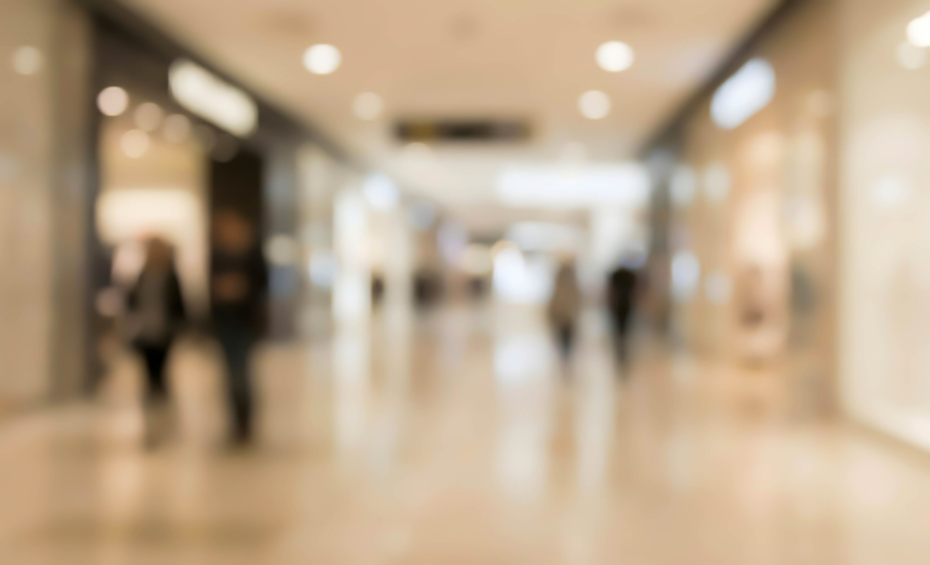 blurred,view,of,a,shopping,mall,interior,showing,shoppers,walking